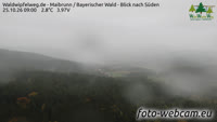 Maibrunn - Waldwipfelweg - Foresta Bavarese