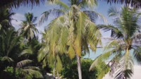 Akasdhoo - Hard Rock Hotel Maldives