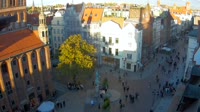 Pomnik Mikołaja Kopernika