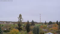Miniatiūra