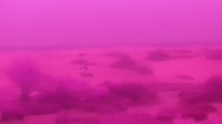 Gran Canaria - Maspalomas - Mirador Dunas