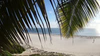 Zanzibaras - Matemvės paplūdimys