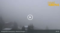 Wald im Pinzgau - Königsleiten - Zillertal Arena