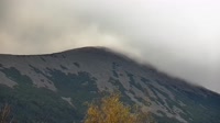 Miniatiūra