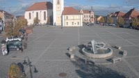 Dobřany - Náměstí, Biotop Kotynka