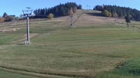 Koziniec