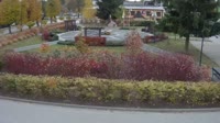 Miniaturansicht