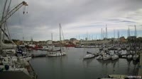 Fiumicino - Dok