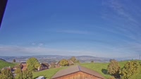 Root - Vista panoramica