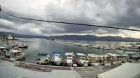 Cervi - Port