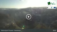 Hardegg - Castello