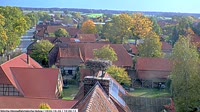 Hohne - Bociany