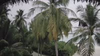 Akasdhoo - Hard Rock Hotel Maldives