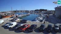 Novigrad - Porporela Marina