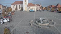 Dobřany - Náměstí, biotop