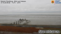 Husum - Dockkoog