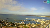 Roses - Port