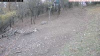 Veszprém - Mangeoires d'oiseaux