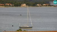 Sveti Filip i Jakov - Vue panoramique