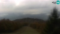Jastrebarsko - Japetić