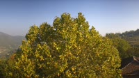 Bosia - Panorama