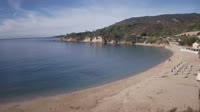 Isola d'Elba - Cavoli