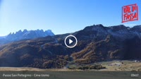 Moena - Cima Uomo