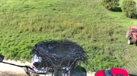 Filippiada - Cigognes