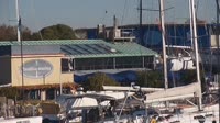 Fiumicino - Tevere - Nautilus Marina