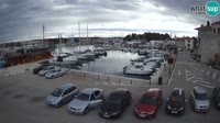 Novigrad - Porporela Marina