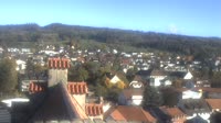 Markdorf - Cigognes