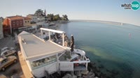 Novigrad - Porporela