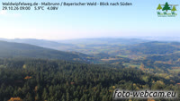 Maibrunn - Waldwipfelweg - Forêt bavaroise