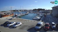 Novigrad - Porporela Marina