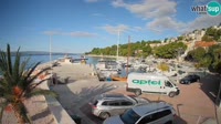 Brella - Marina