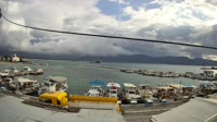 Cervi - Port