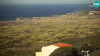 Pag - Kolan - Gligora Cheese Factory