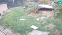 Lubiana - ZOO