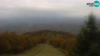 Jastrebarsko - Japetić