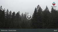Bodenmais - Chamer Hütte