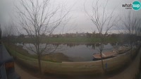 Sisak - Kupa