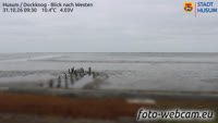 Husum - Dockkoog