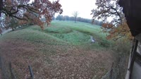 Hofgeismar - Zoo di Sababurg - Elch-Lodge