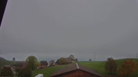 Root - Panoramic view