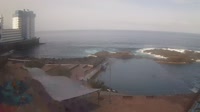 Tenerife - Tacoronte - Mesa del Mar