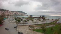 Scopelo - Porto