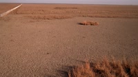 Parco nazionale di Doñana - Caño de Rosalimán