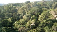 Reserva de la Biosfera de Yangambi