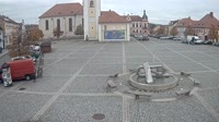 Dobřany - Náměstí, biotop