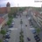 Miniaturansicht